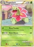 Meganie aus dem Set HeartGold & SoulSilver 