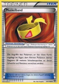 Muskelband aus dem Set XY