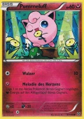 Pummeluff aus dem Set XY