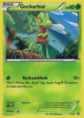 Geckarbor aus dem Set XY Black Star Promos