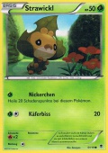 Strawickl aus dem Set XY Phantomkrfte