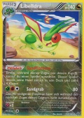 Libelldra aus dem Set XY Protoschock