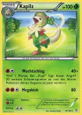 Kapilz aus dem Set XY Protoschock