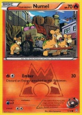 Team Magmas Camaub aus dem Set XY Doppeltes Dilemma