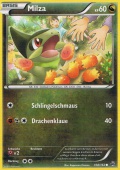 Milza aus dem Set XY TURBOstart 