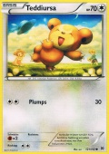 Teddiursa aus dem Set XY TURBOstart 