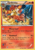 Grillchita aus dem Set XY TURBOstart 