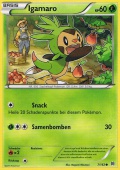 Igamaro aus dem Set XY TURBOstart 