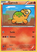 Camaub aus dem Set XY TURBOfieber