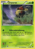 Zirpurze aus dem Set XY TURBOfieber