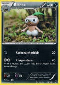 Blanas aus dem Set XY TURBOfieber