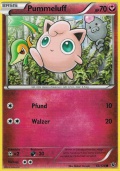 Pummeluff aus dem Set XY Schicksalsschmiede