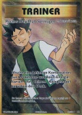 Rockos Durchhaltevermgen aus dem Set XY Evolution